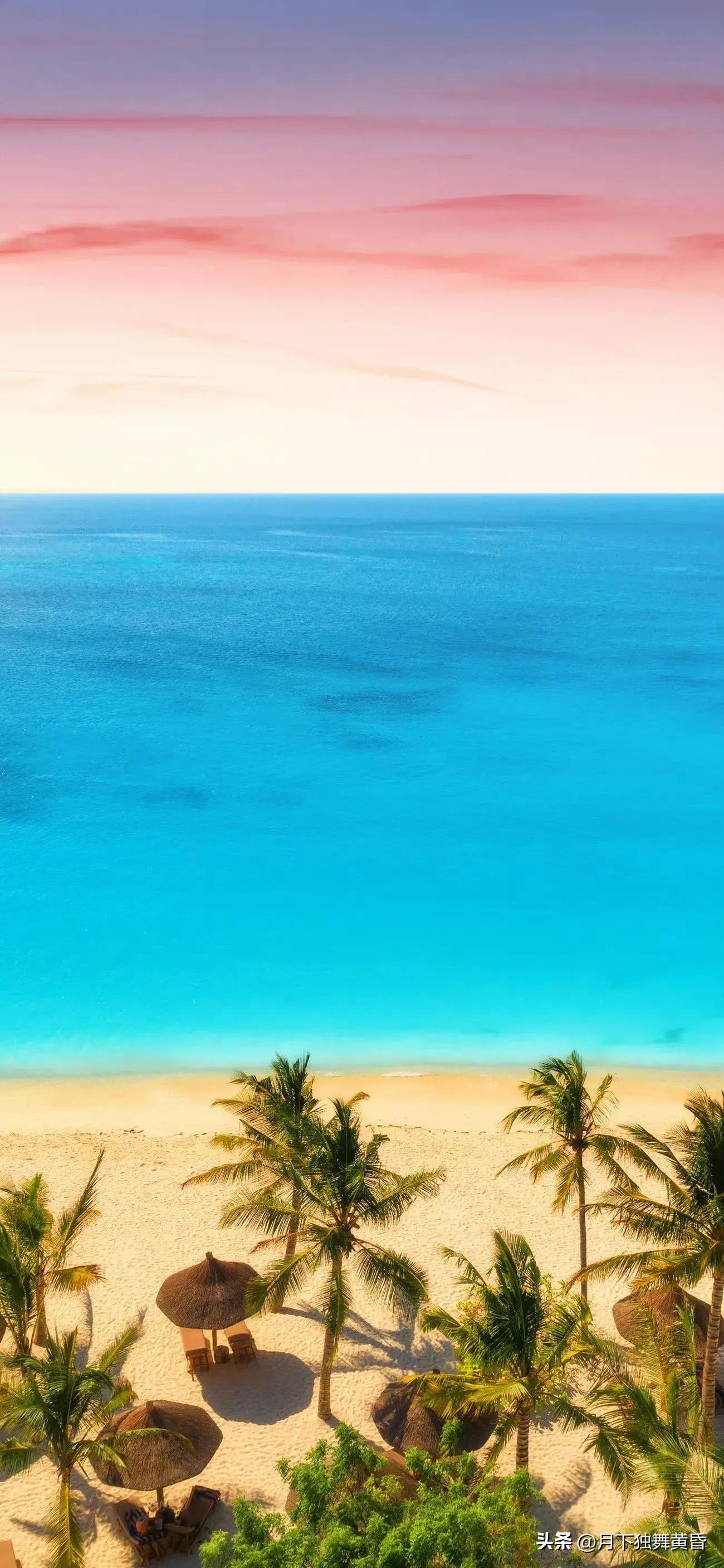 夏天壁纸图高清,壁纸夏天的太阳