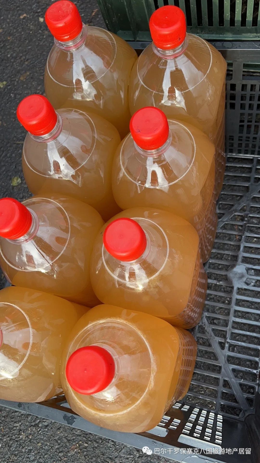 罗马尼亚蔬菜,罗马尼亚大型水果批发市场