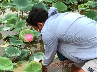 东*姑北**娘国外旅游，小7岁导游对她念念不忘，两人结婚5年后怎么样