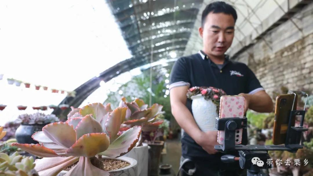 卖萌经济的生意经,卖萌生意的利润