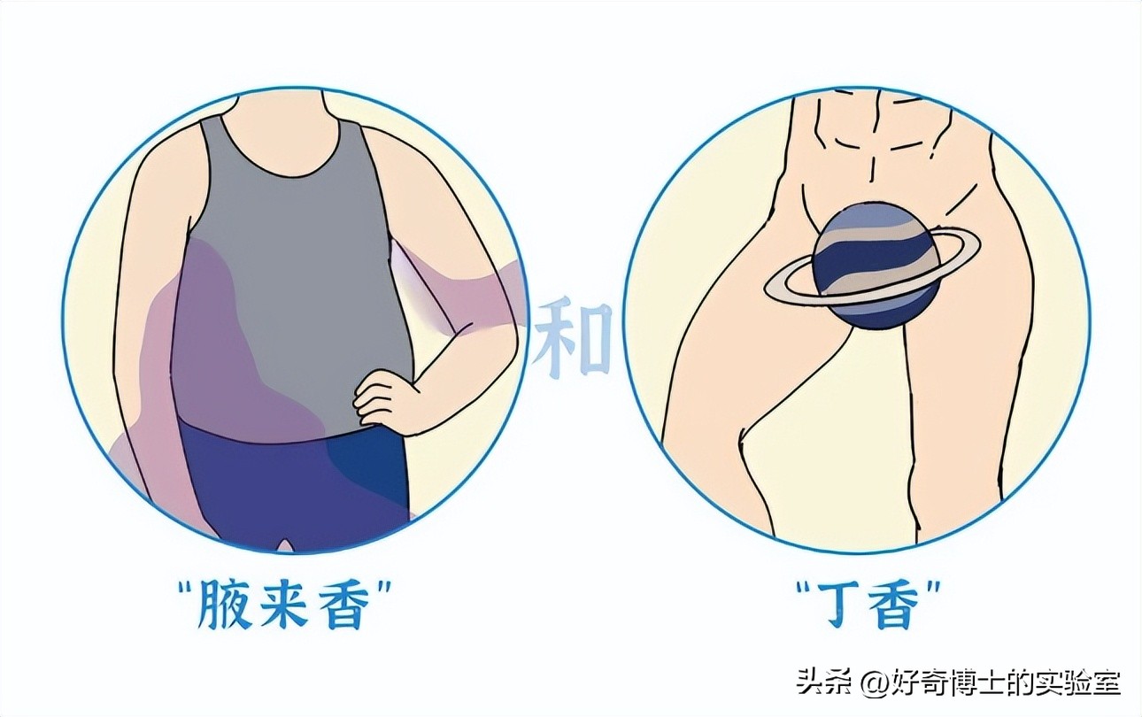 女生闻到的男人味到底是啥味,女生闻到男生身上的香味很刺鼻