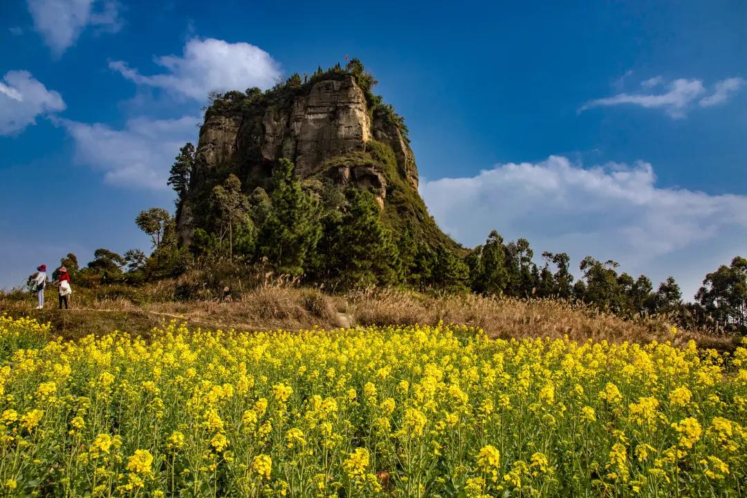 荣威穹窿,荣威有宝藏车吗