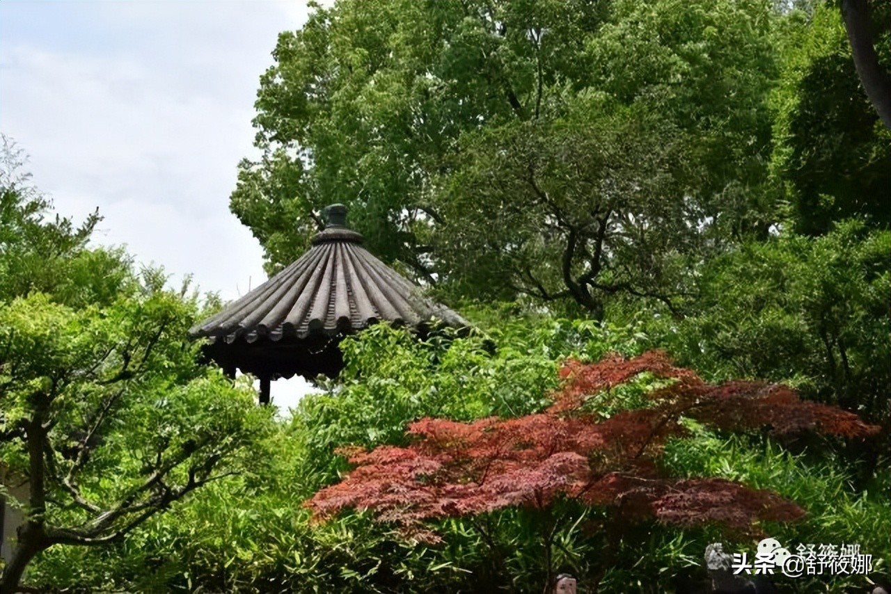 苏州园林拙政园地址,苏州园林路拙政园