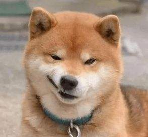 人造肉起底大揭秘,人造肉究竟有何利弊