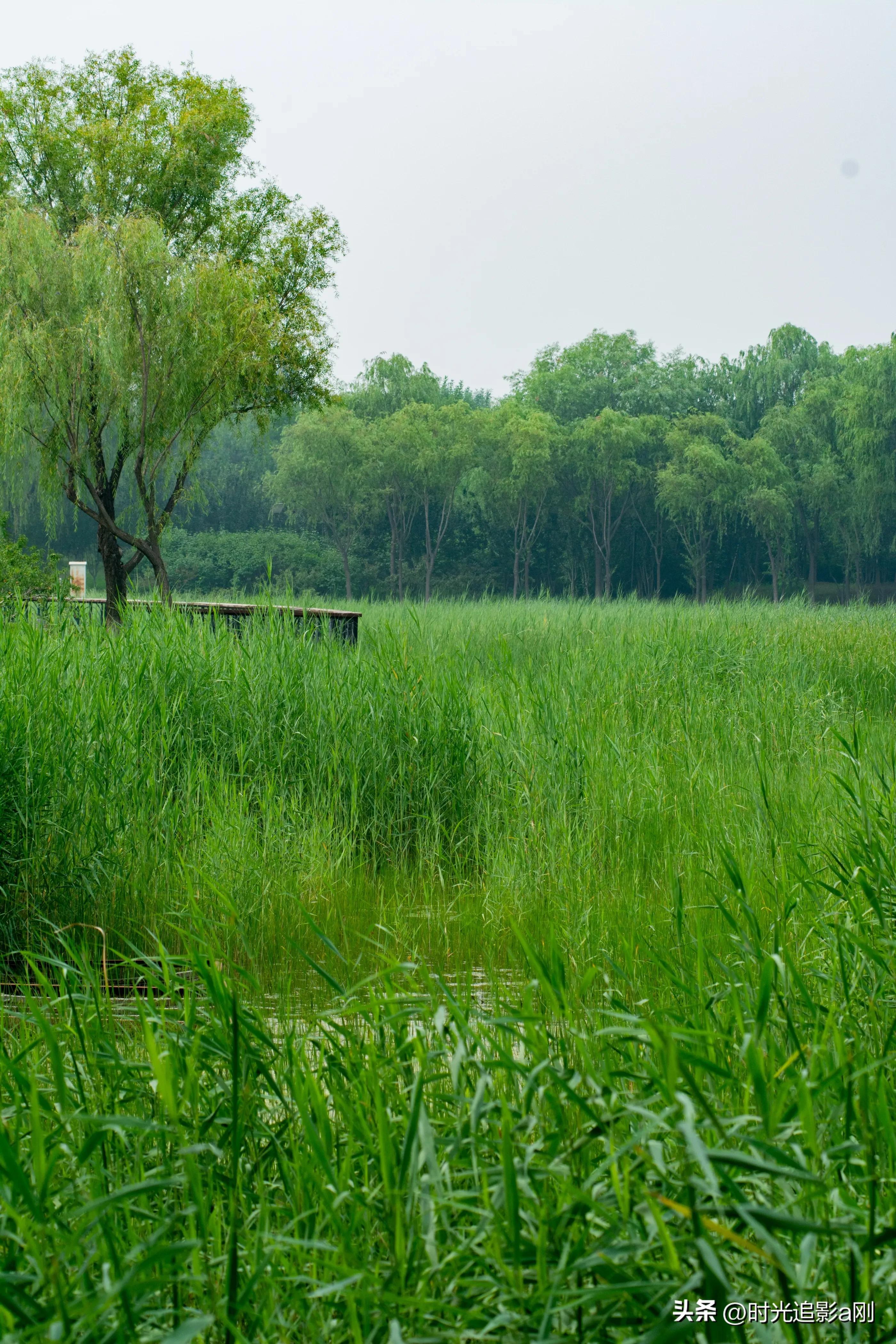 秋日时光音乐会花絮,秋日傍晚公园的美景