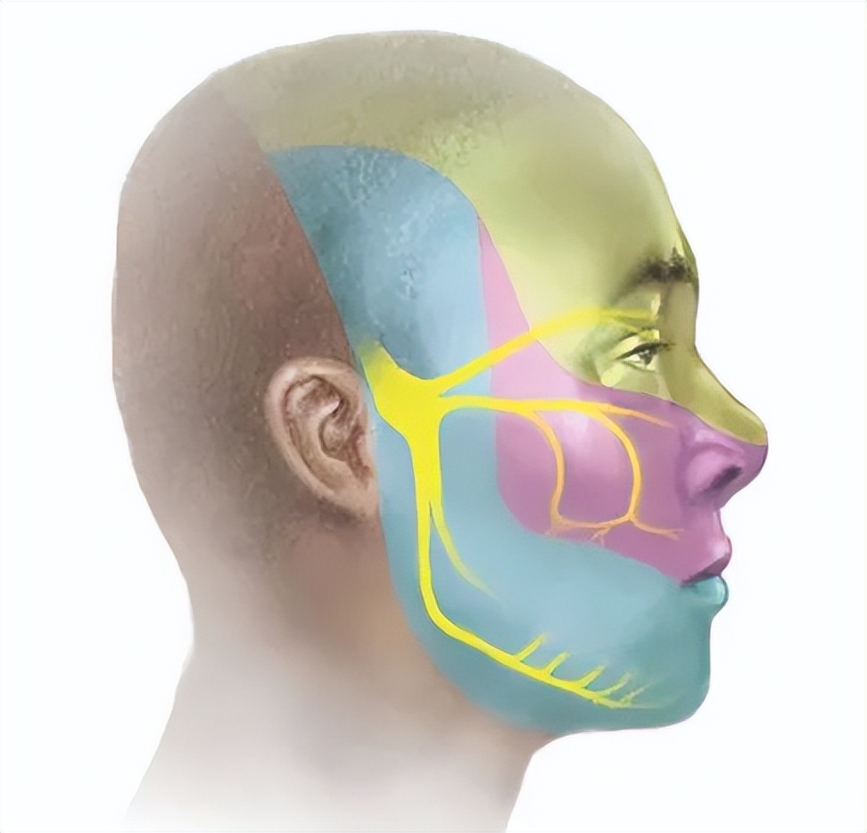 卡马西平治疗三叉神经痛多久停药,三叉神经痛吃什么药能彻底治愈