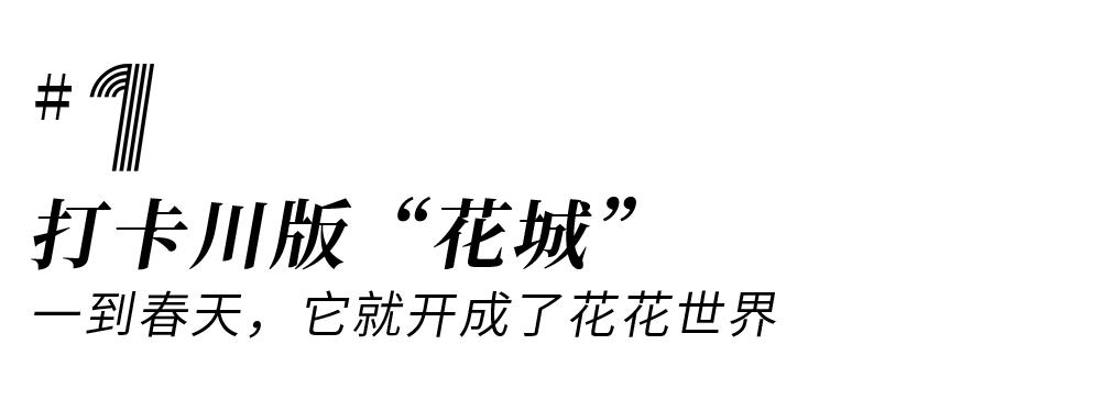 1.5h刹拢！被誉为川版“花城”，这个宝藏好耍地美得不像话