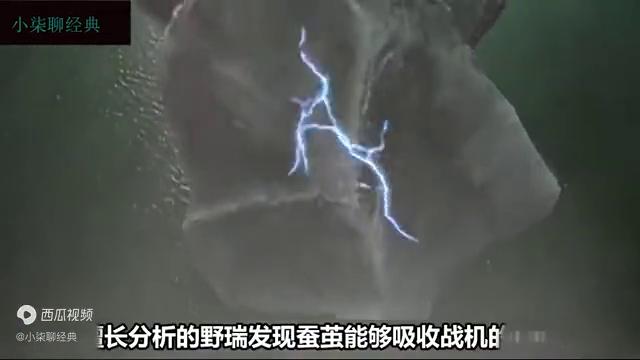 人类和怪兽合作,人类和怪物做朋友