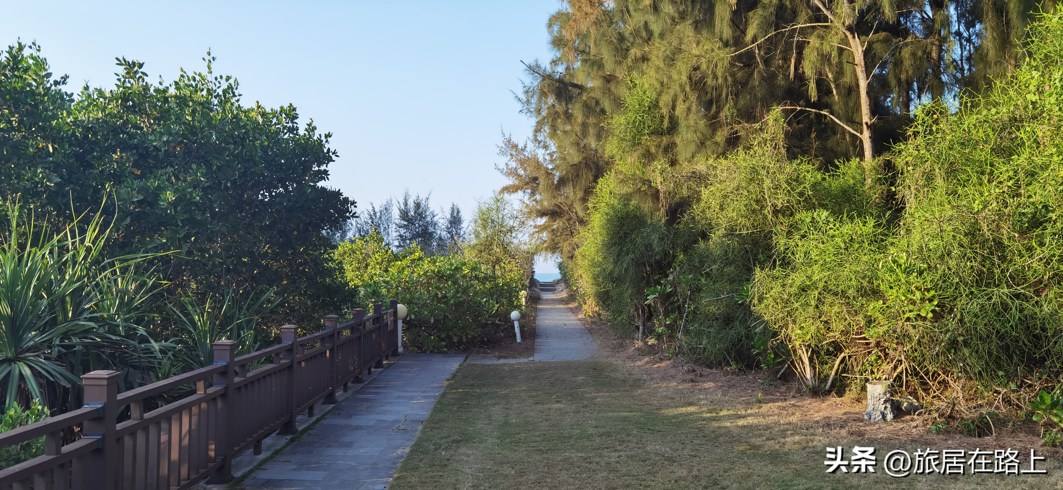 棋子湾上的仙人掌,海南棋子湾旅游攻略一日游