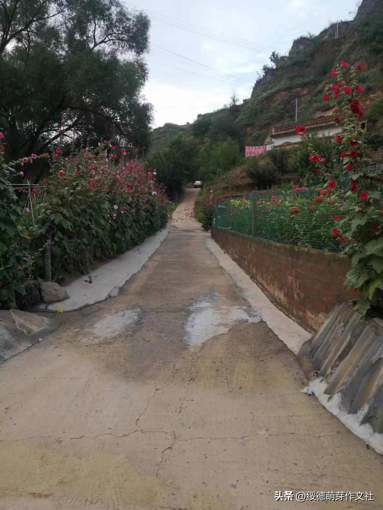 绥德李强国：从高舍硷到高石角