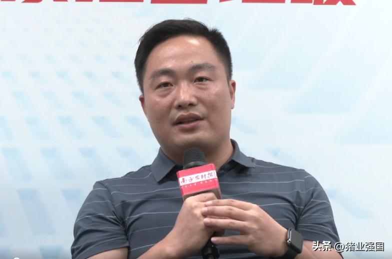 养猪技术及策略,猪场如何应对行情低迷