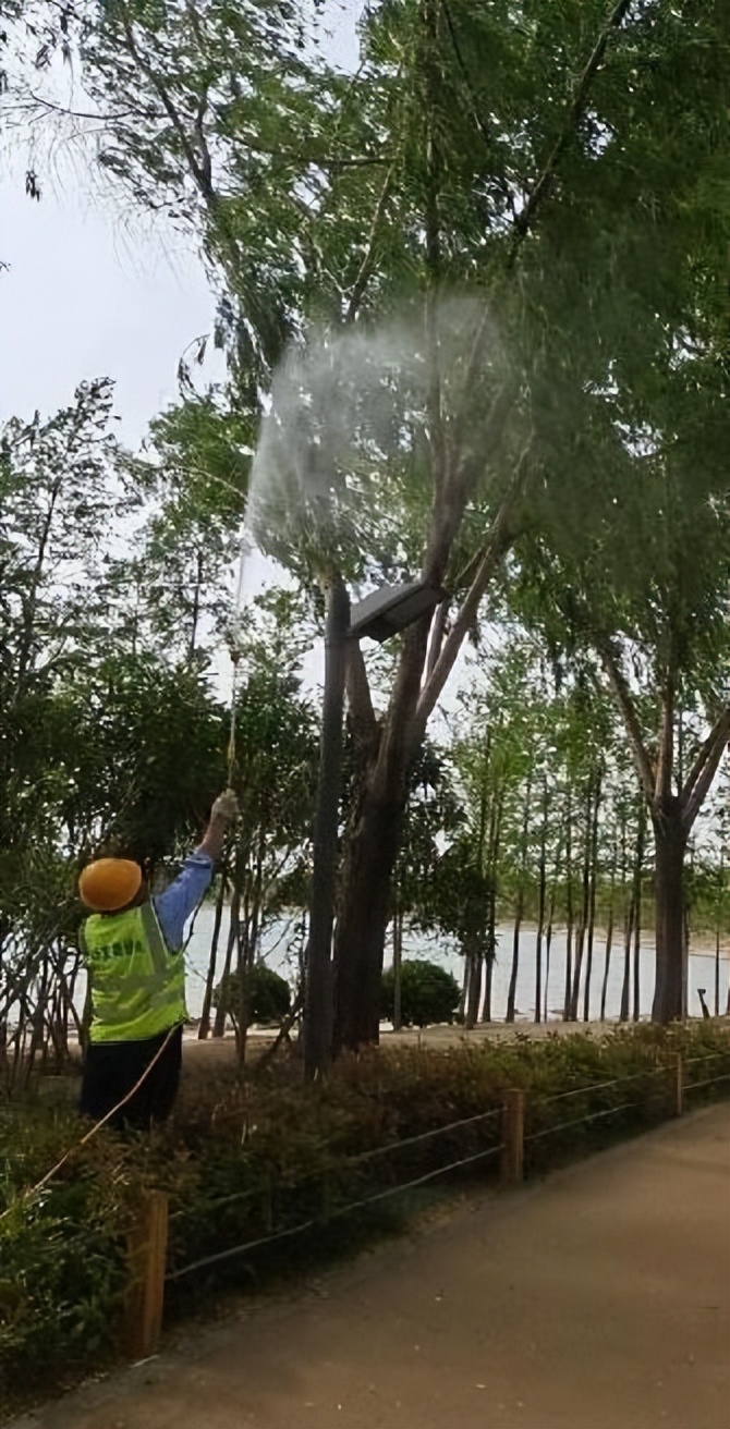 12月份园林绿化养护工作重点,元月份园林养护重点工作