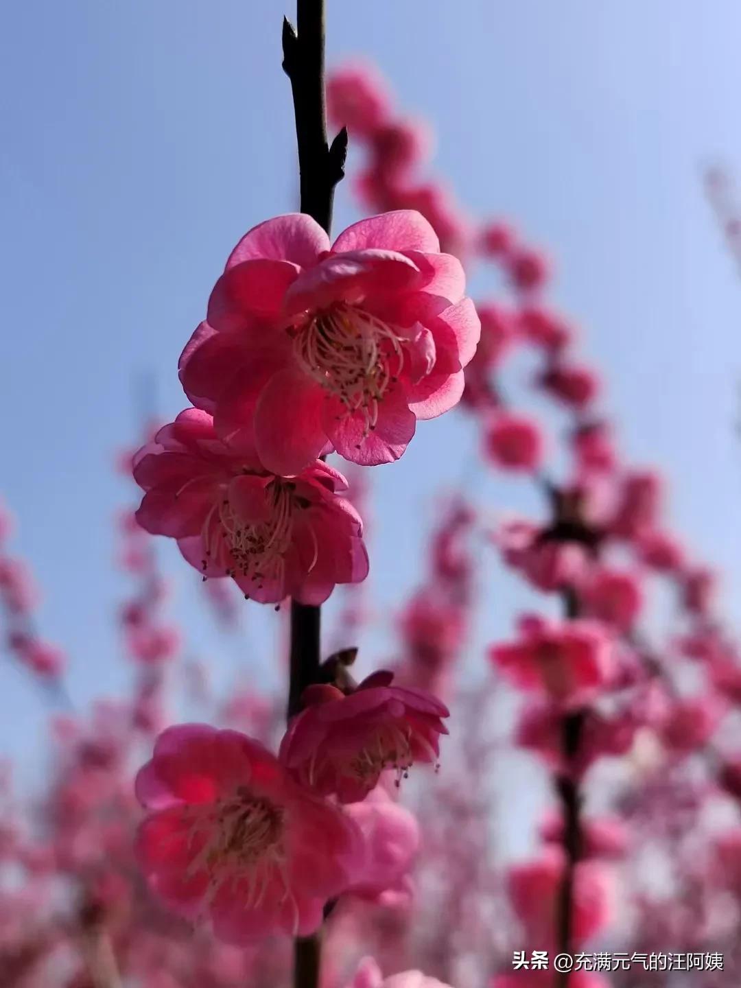 没发烧就感冒咳嗽是不是甲流,感冒甲流了还有必要吃药吗