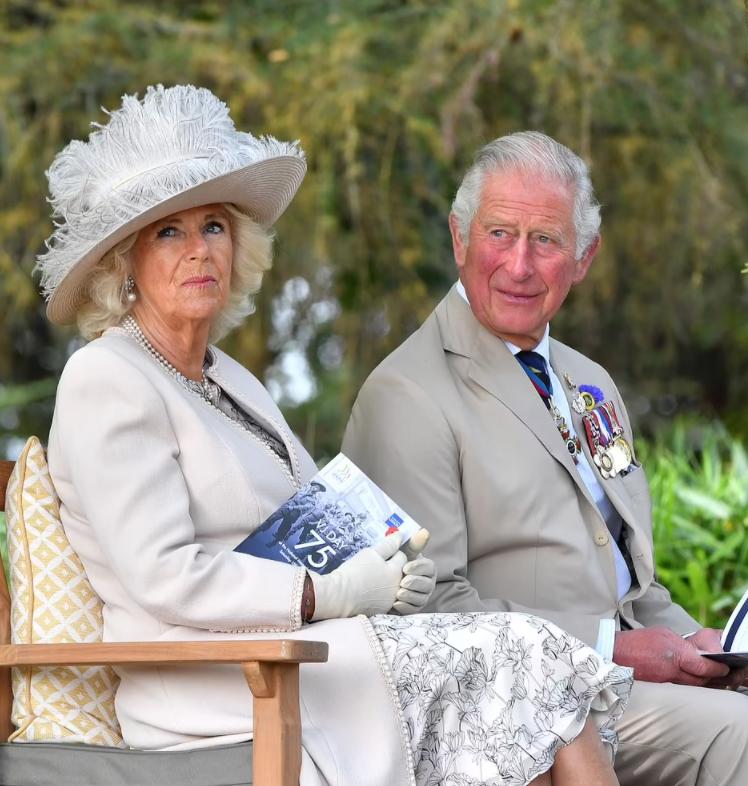 哈里王子为何恨卡米拉,哈里王子抨击卡米拉