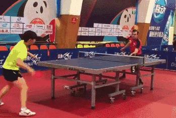 2024世界乒乓球女子单打,世界乒坛最强阵容