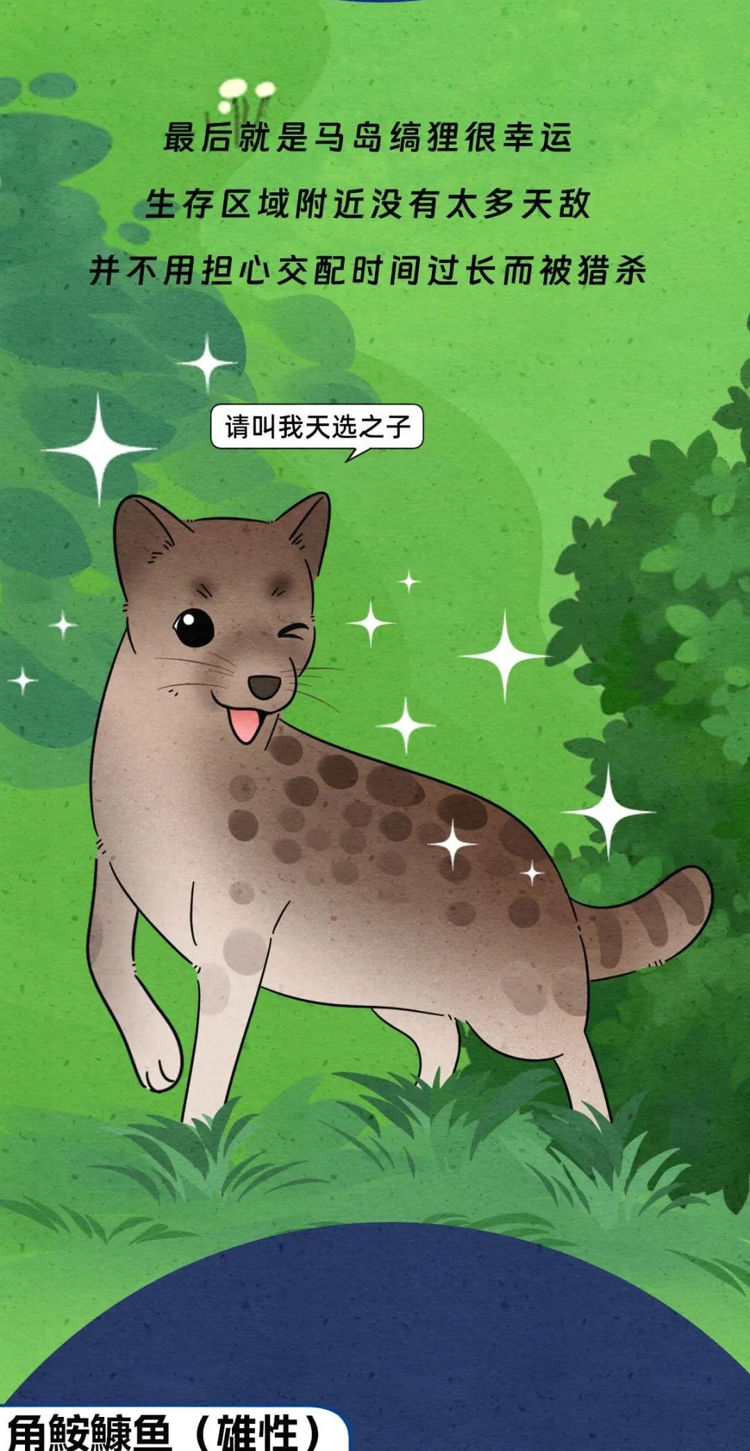 动物交配行为鉴赏，真的触碰到了我的知识盲区（漫画）