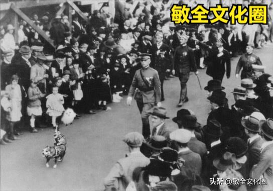 以后，我们一起去遛机器狗，相亲交友！