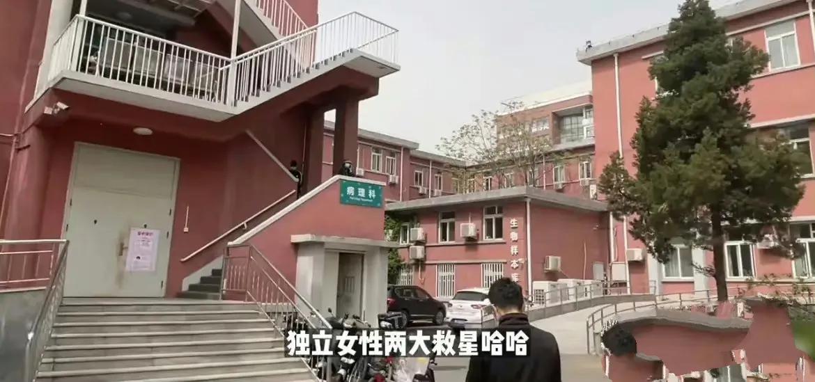 娓呭崕寮犲皬骞翠汉绫荤簿瀛愬簱,娓呭崕寮犲皬骞寸簿瀛愬簱