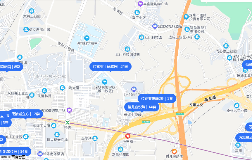 坂田十大学区房,深圳龙岗坂田新盘