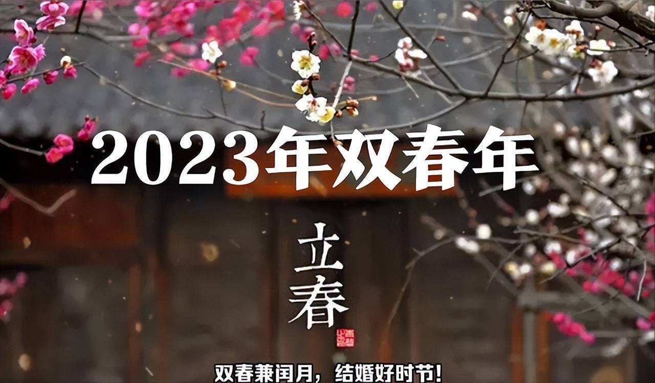 2023年是黑兔年还是木兔年,2023年被称为黑兔年为什么