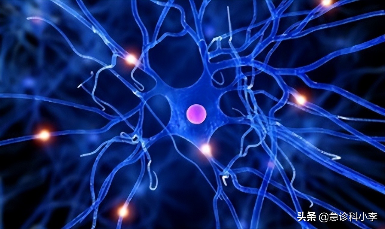 失眠是因为身体缺乏维生素b族,失眠焦虑缺少这3种维生素