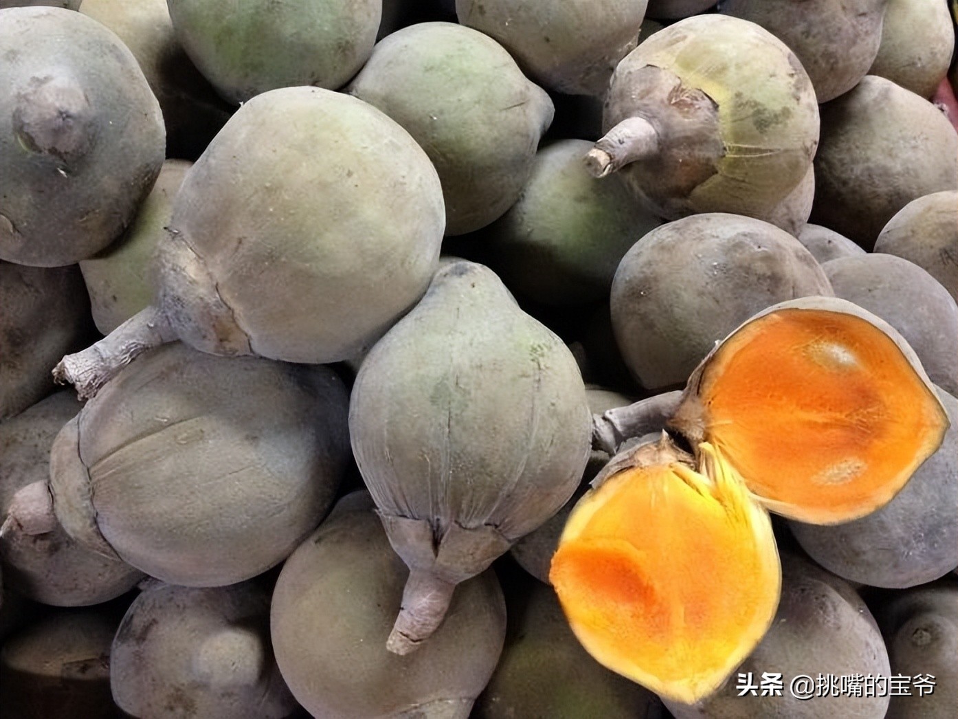 苏里南中国春节,苏里南的特色水果是什么