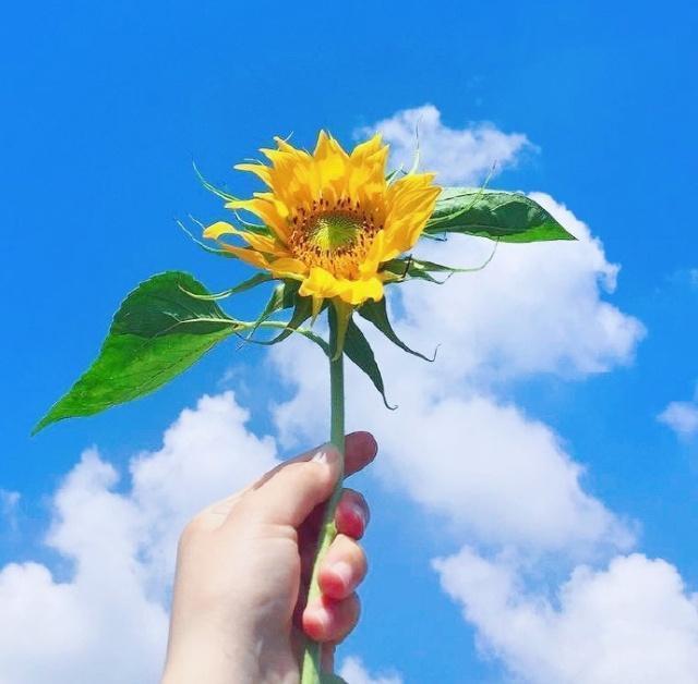 2023微信签名简短干净,2022的霸气气质正能量个性签名