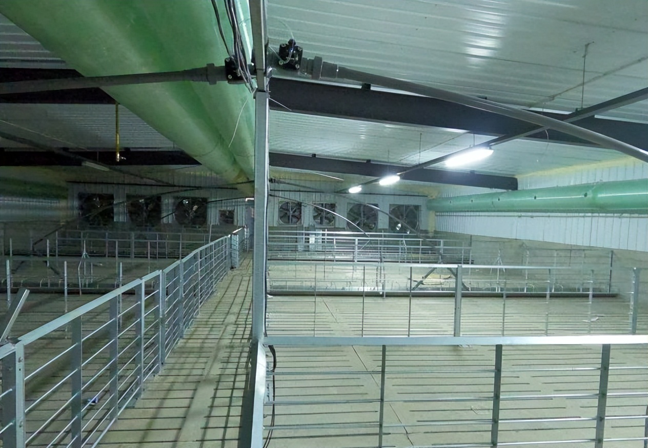 水泡粪养猪场建设方法,规模化养猪场怎么解决臭味