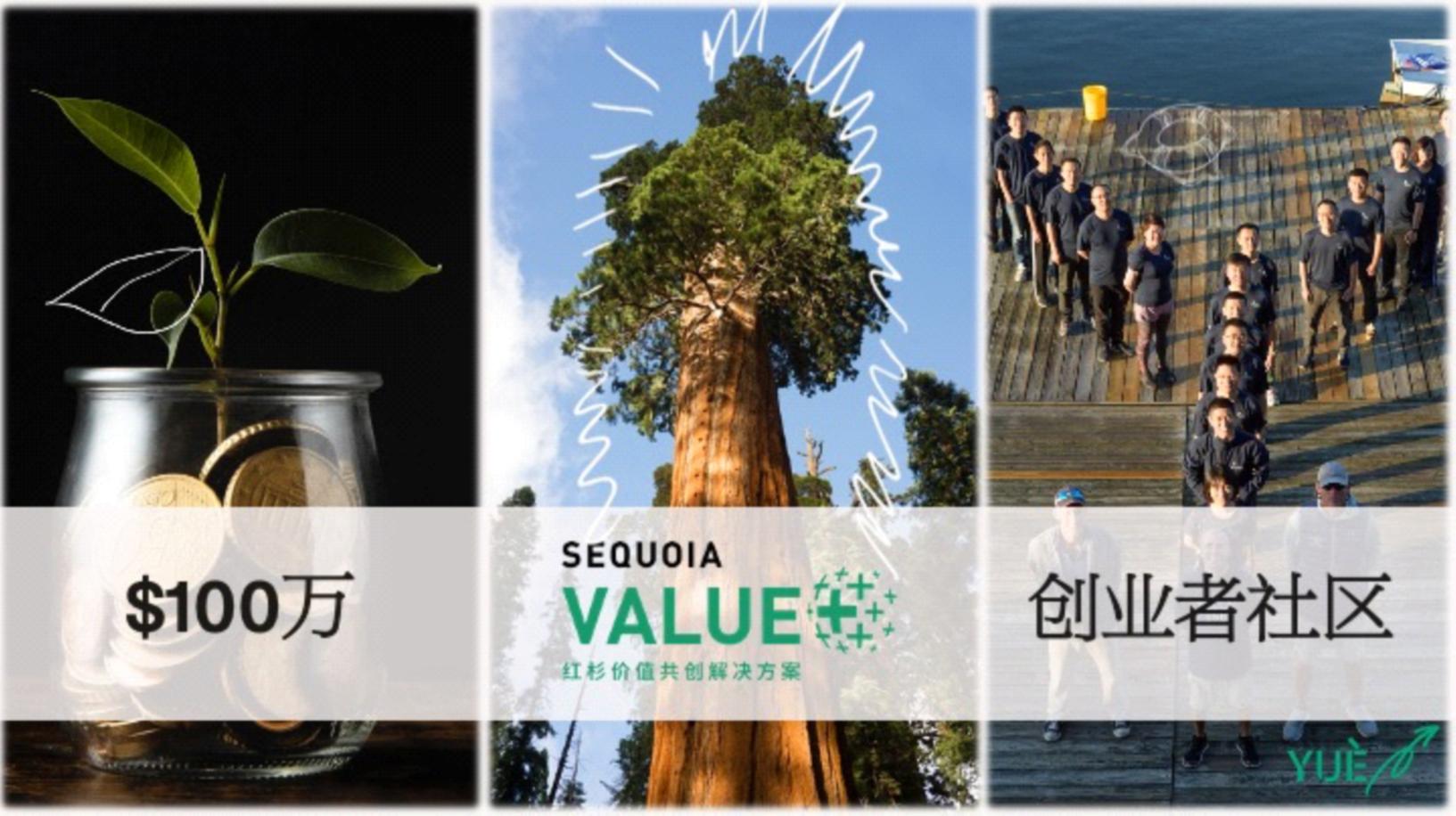 绾㈡潐涓浗鍒涗笟瀛靛寲,绾㈡潐璧勬湰涓浗鍒涗笟