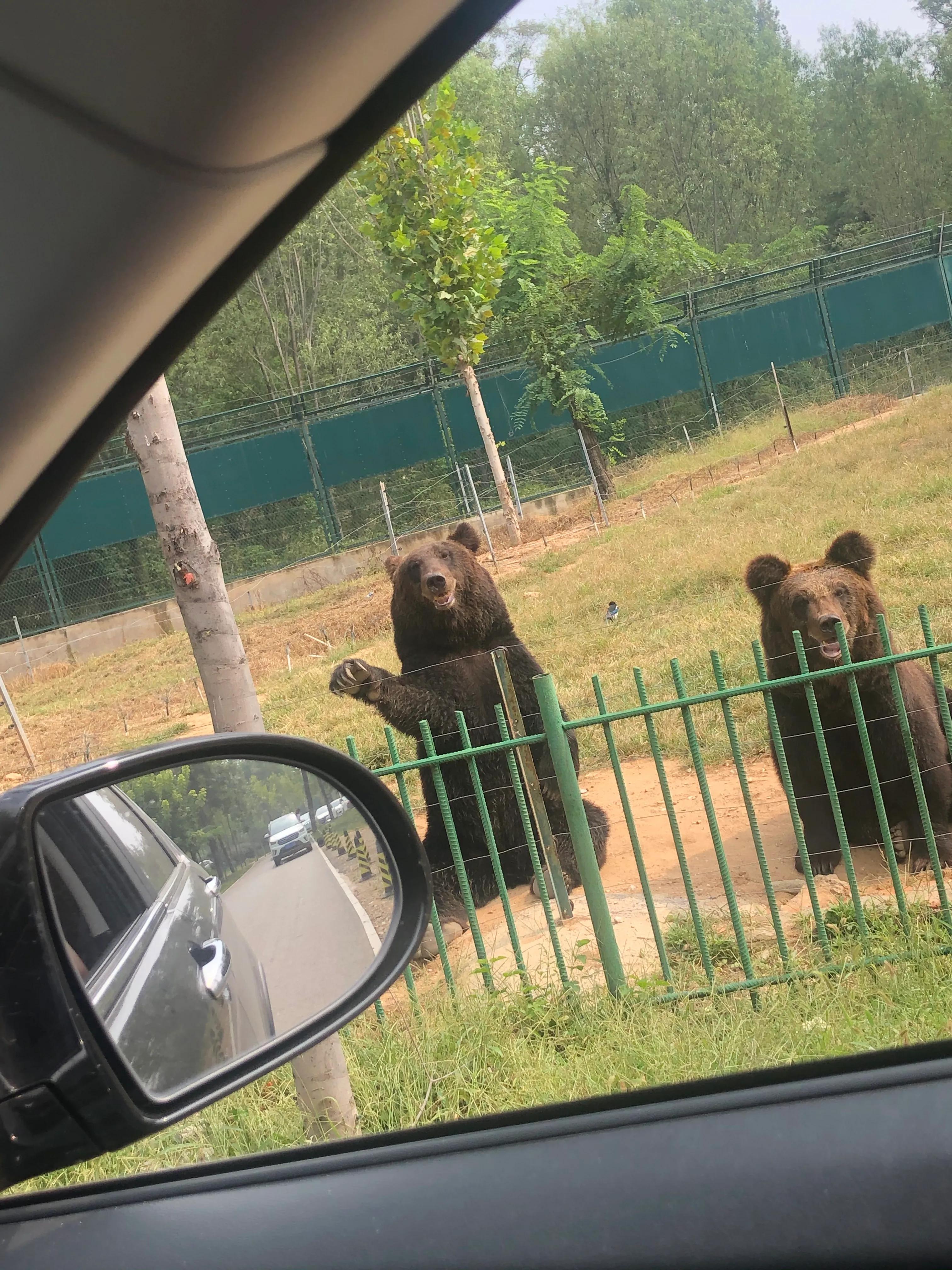 游荡人间三十年只为再见妻子一面,我到人间走一走