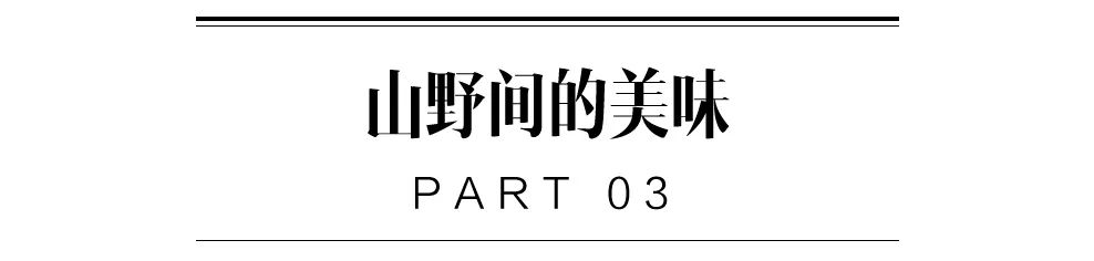 安吉旅游度假,安吉好玩还是千岛湖好玩