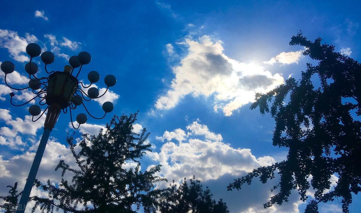 临沂大学是否被国家认可,临沂大学建设国际一流大学