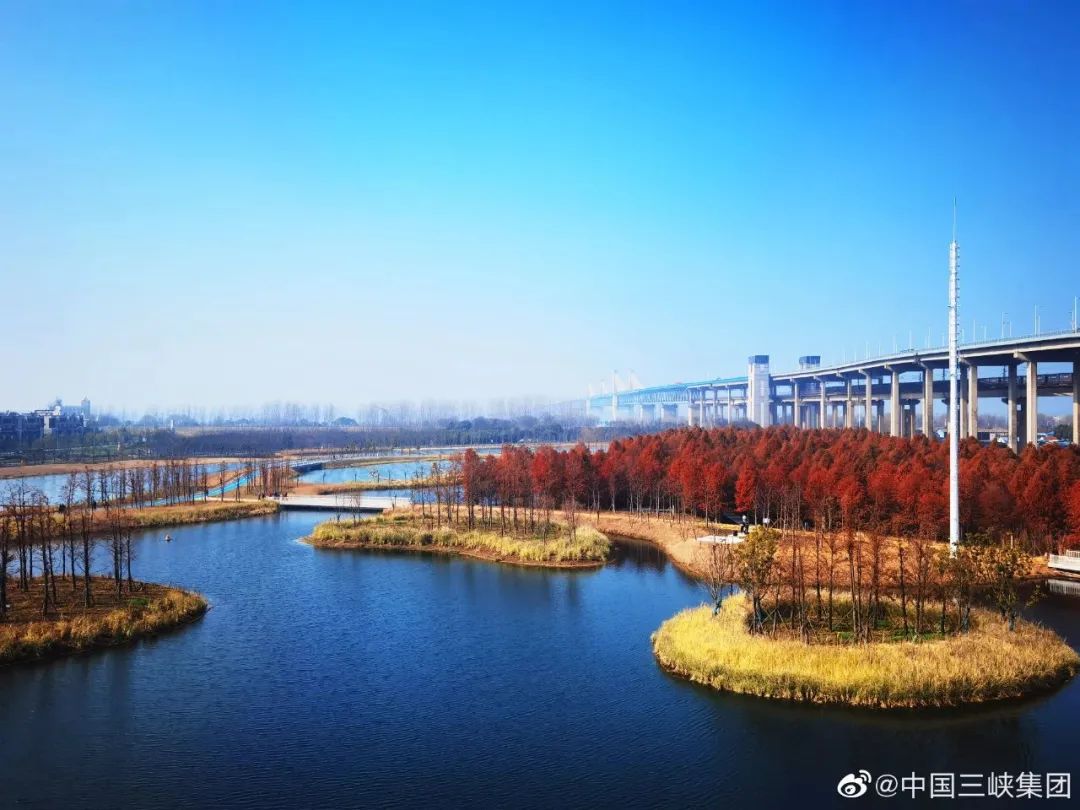 挖呀挖呀国家队,挖呀挖呀挖太上头了