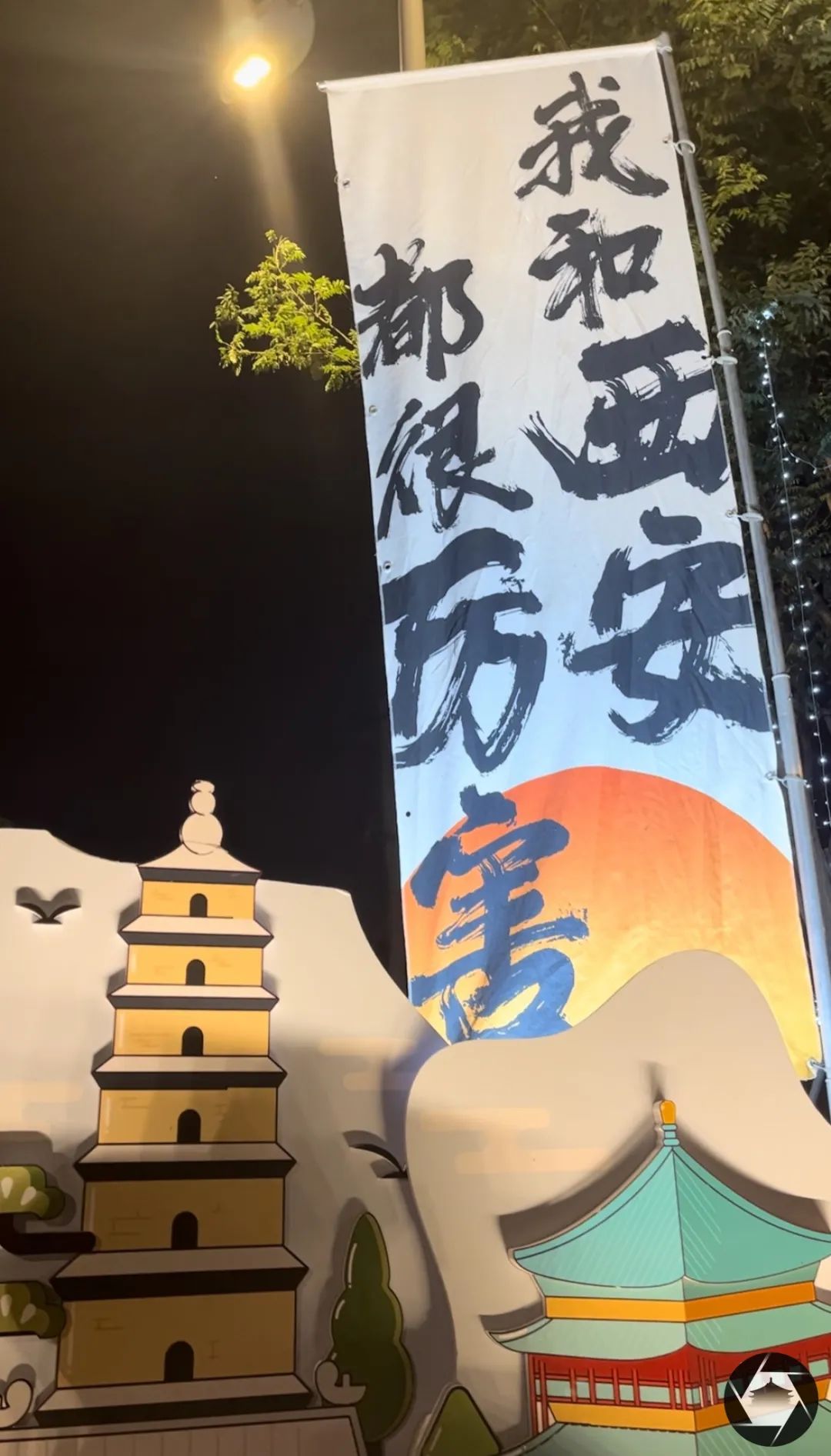 走，浪走！我见证了西安浐灞“野生后海”的正向生长