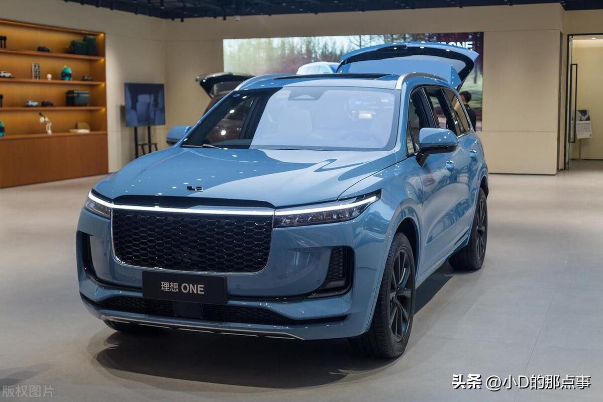 理想汽车在中国电动汽车排名,理想汽车在中国新能源市场占比