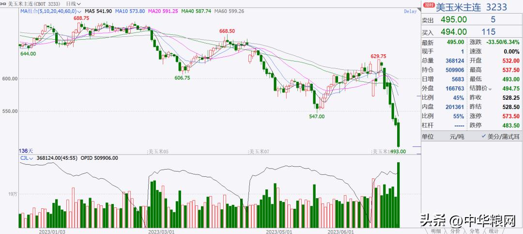 最新全球粮食价格连续大涨分析,国际大豆今日新闻