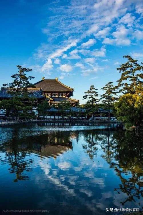 日本之旅奈良,日本奈良东大寺旅游