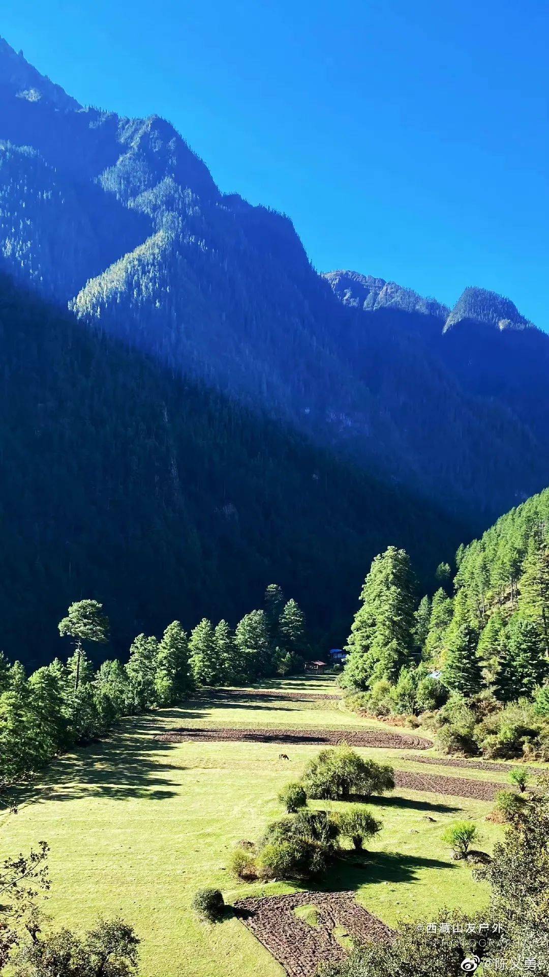 雪山下的某个小镇,雪山下的梦幻球场