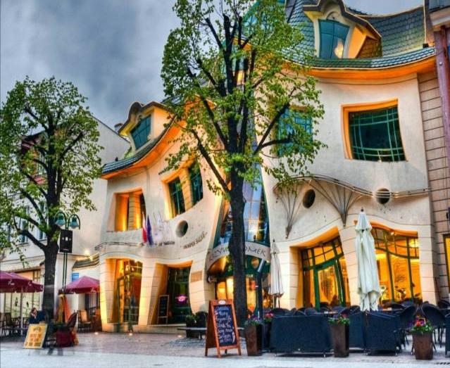 79个难得一见照片，飞机释放烟雾弹，逃票的女乘客，飞翔的蝙蝠