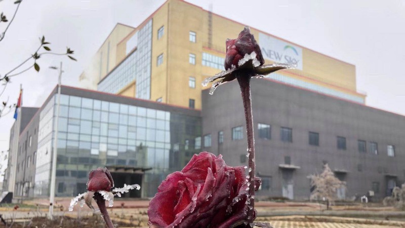 新源集团有限公司招聘,贵州新源环境招聘