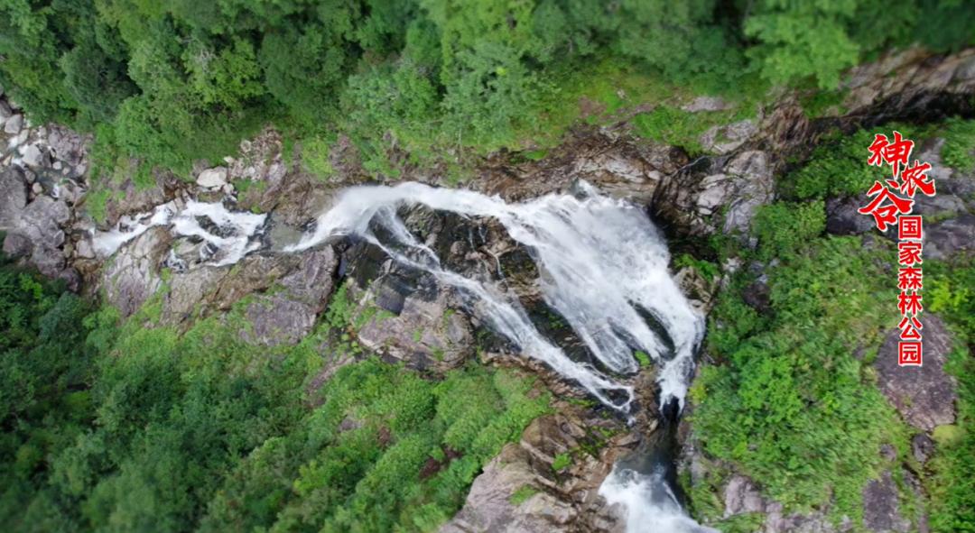 湖南下一个旅游强县，或许就是株洲炎陵