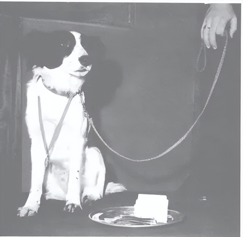 世界杯门将封神瞬间,科比世界杯封神之战集锦