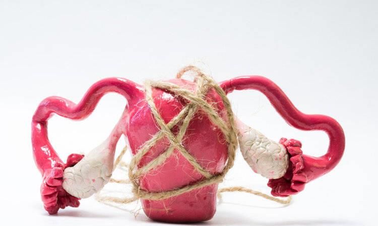 神秘档案女友的秘密,神秘的女友真相