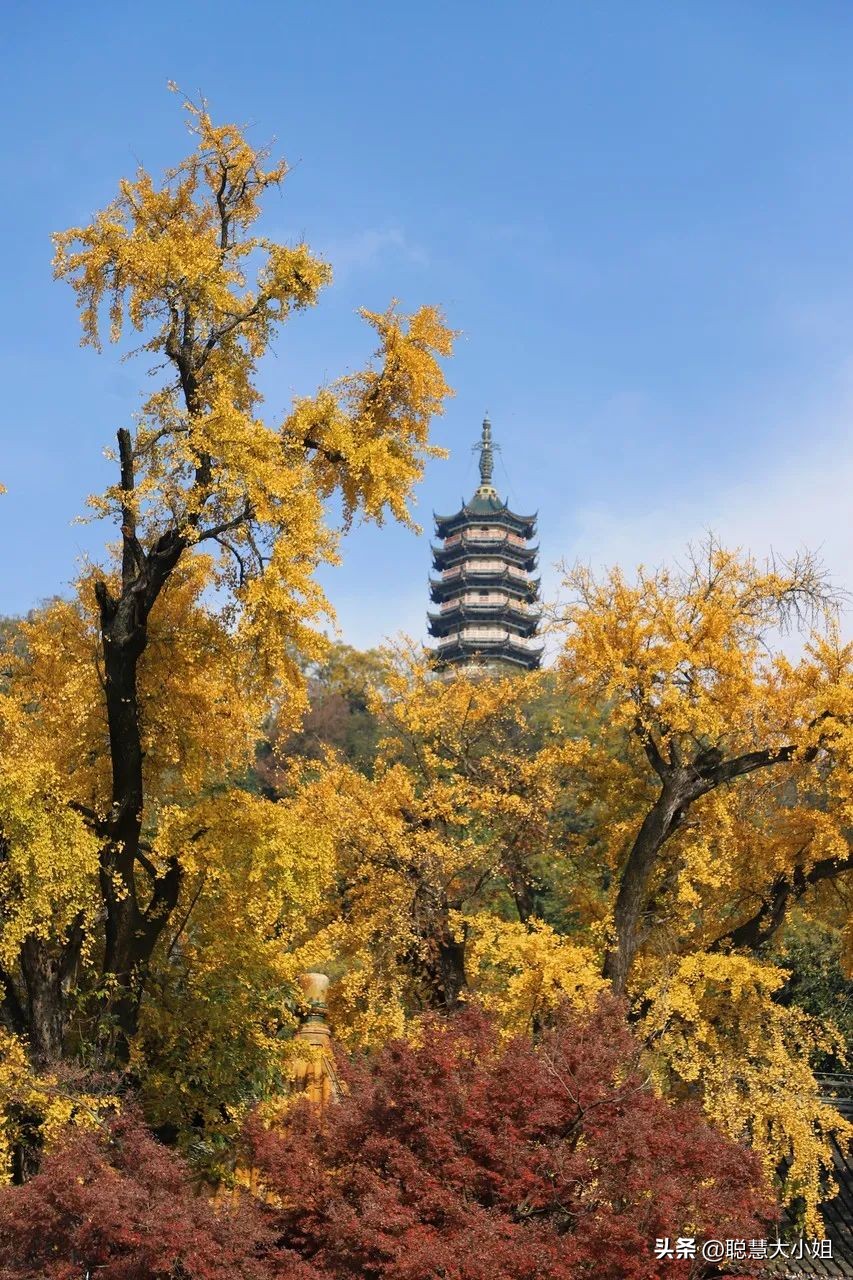 江苏镇江，比扬州安逸。这座有钱低调的小城，倦了就去小住几日