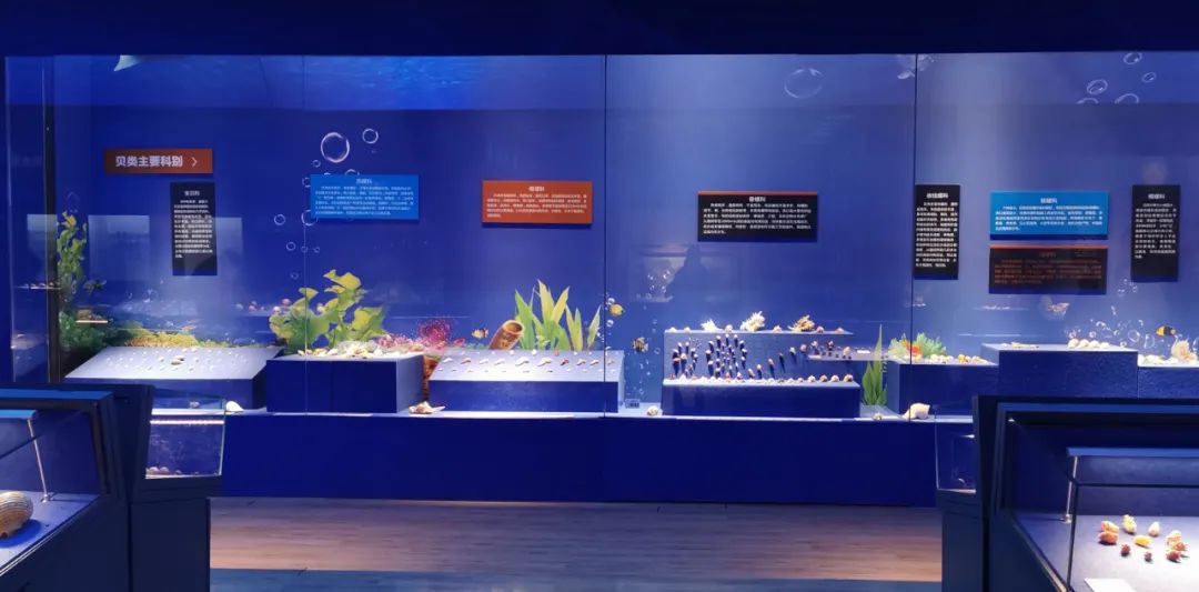 济南值得去的展馆,济南什么馆值得去参观