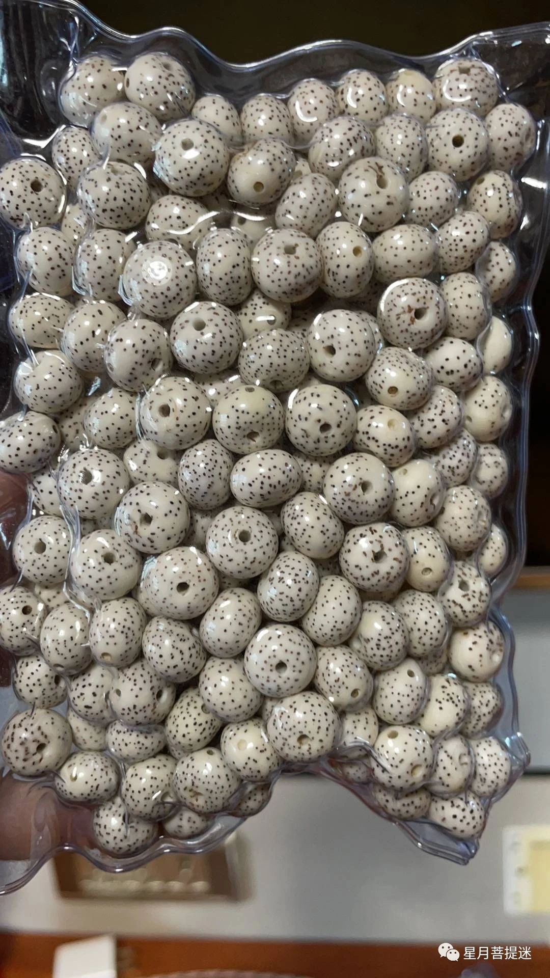 真正的星月菩提,顶级的星月菩提是玉化的吗