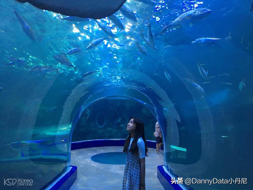 aiday特斯拉2022总结,特斯拉ai机器人