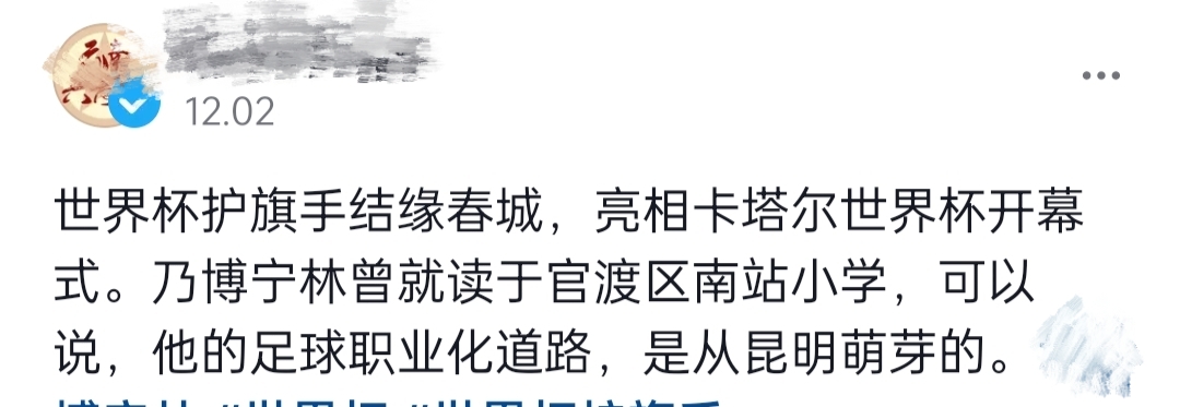 世界杯护旗手,2022年世界杯护旗手