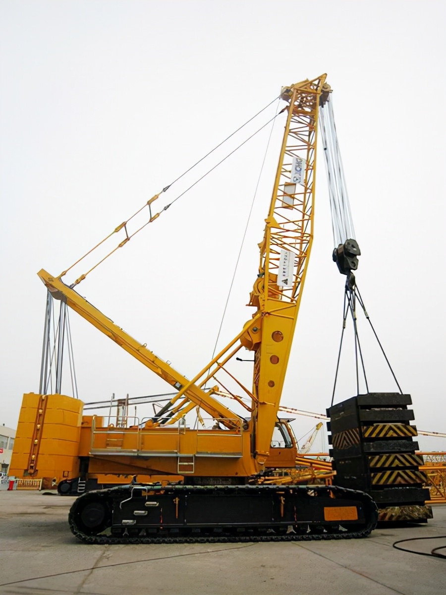 叮叮冷知识微信翻译,叮叮冷知识配音