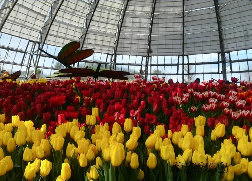 越南芽庄5晚6天观光游 (越南越美醉美芽庄5天品质之旅)